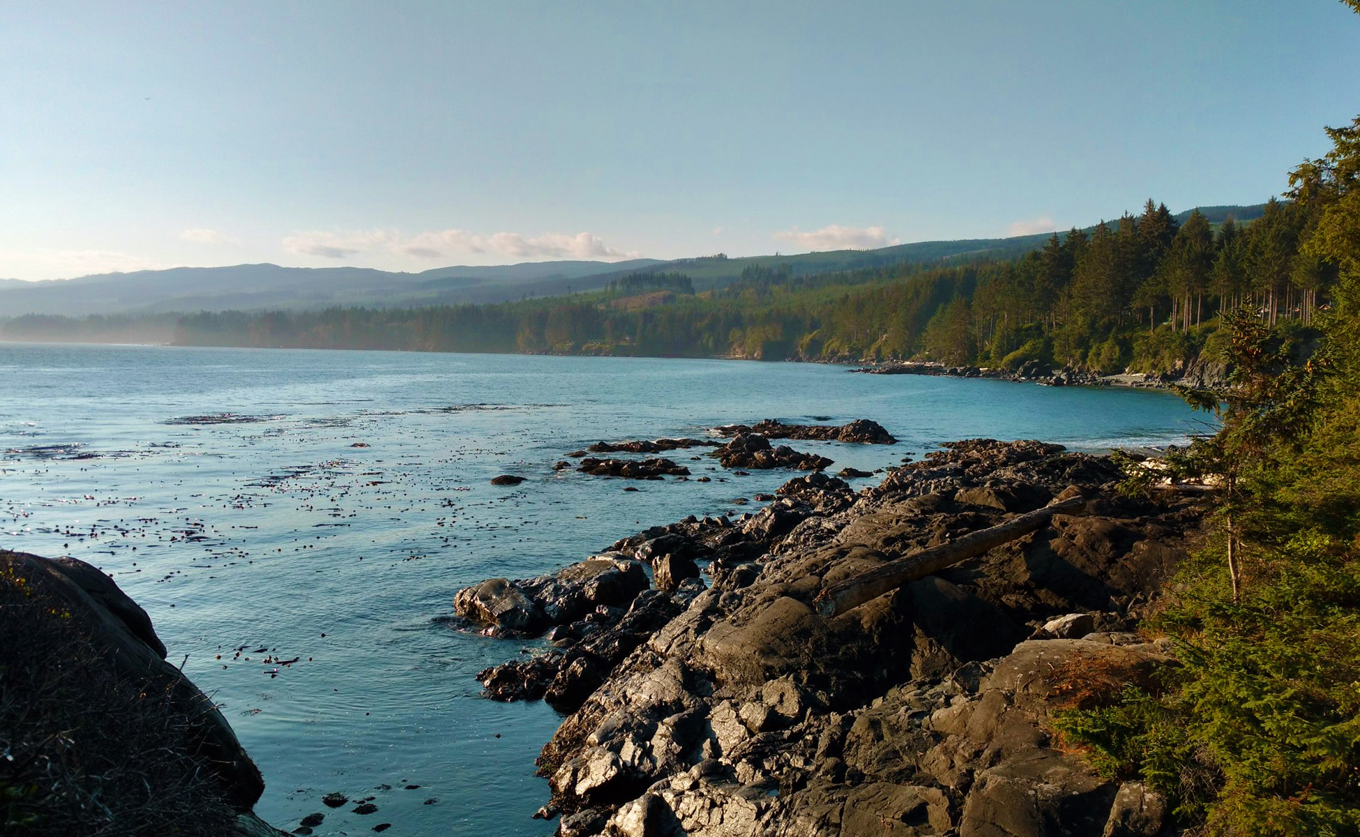Thrilling Vancouver Island Walk: Journey Through Nature's Splendor