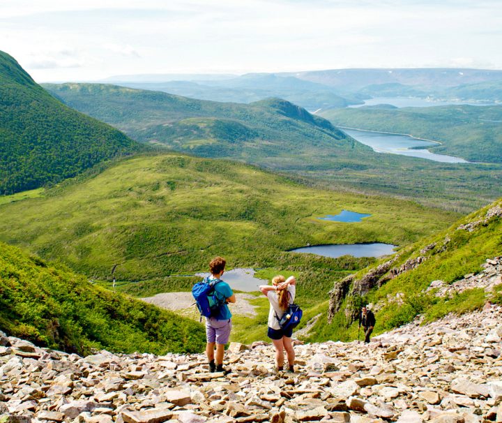 A panoramic view near the top of Gros Morne Mountain during the Freewheeling Adventures Viking Trail Hike in Newfoundland.