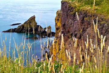 A view of Cape Split from the wilderness trails around the Bay of Fundy with Freewheeling Adventures.