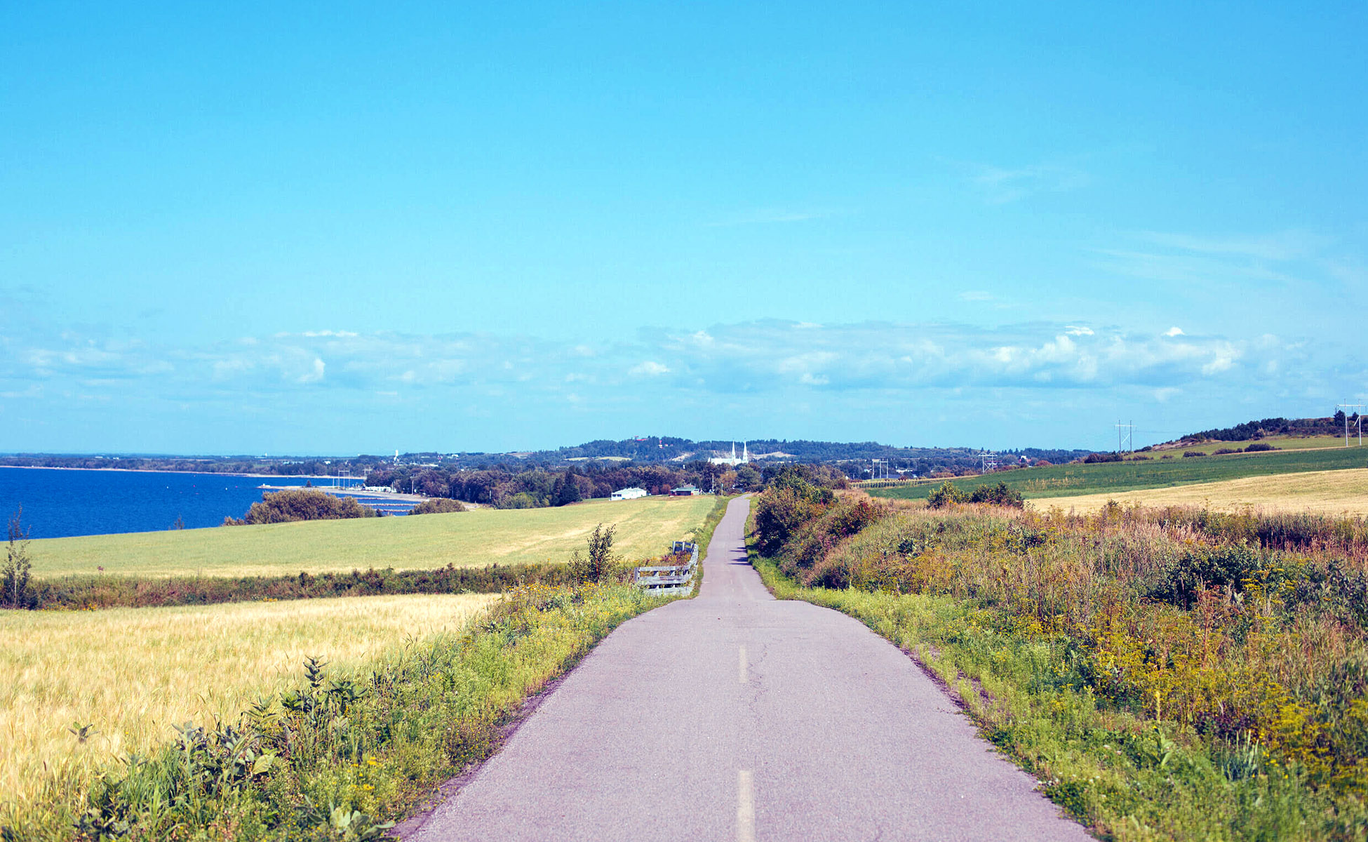 Quebec: Lac Saint-Jean Blueberry Route Bike Tour Freewheeling