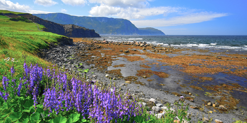 Newfoundland Bike Tours & Walking/Hiking Trips