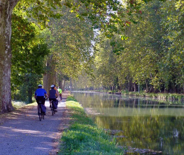 A calm view of the canal with the traffic free bike lanes on either side of the Bordeaux to Carcassonne Canal Bike