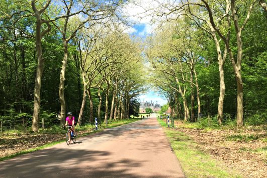 Cycling with Freewheeling Adventures through the area where most of the great Loire chateaux are congregated, stretching over a 100km in the Loire Valley!