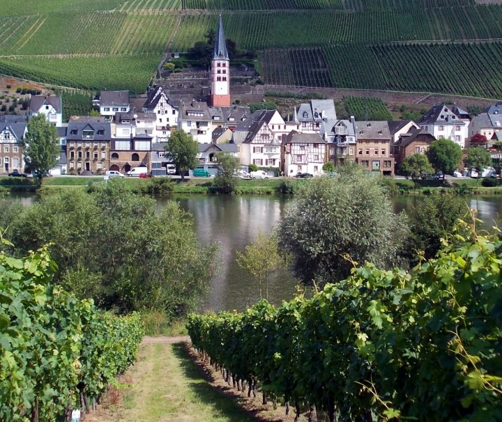 A view of Zell church across the River Moselle, on the Moselle River Valley Bike with Freewheeling Adventures.