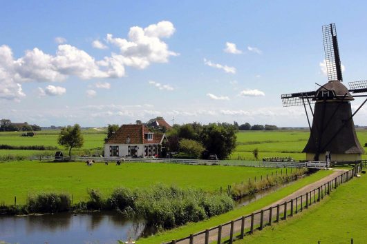 A traditional Dutch windmill is a common sight on a Freewheeling Adventure walking tour in the Netherlands.