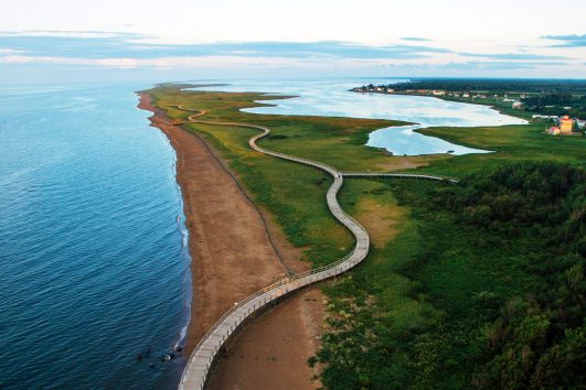 Acadian Coast Bike