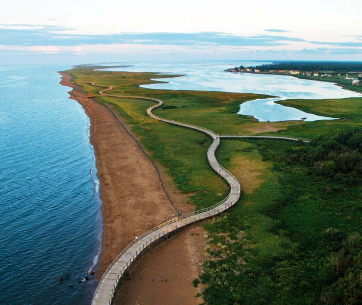 Acadian Coast Bike