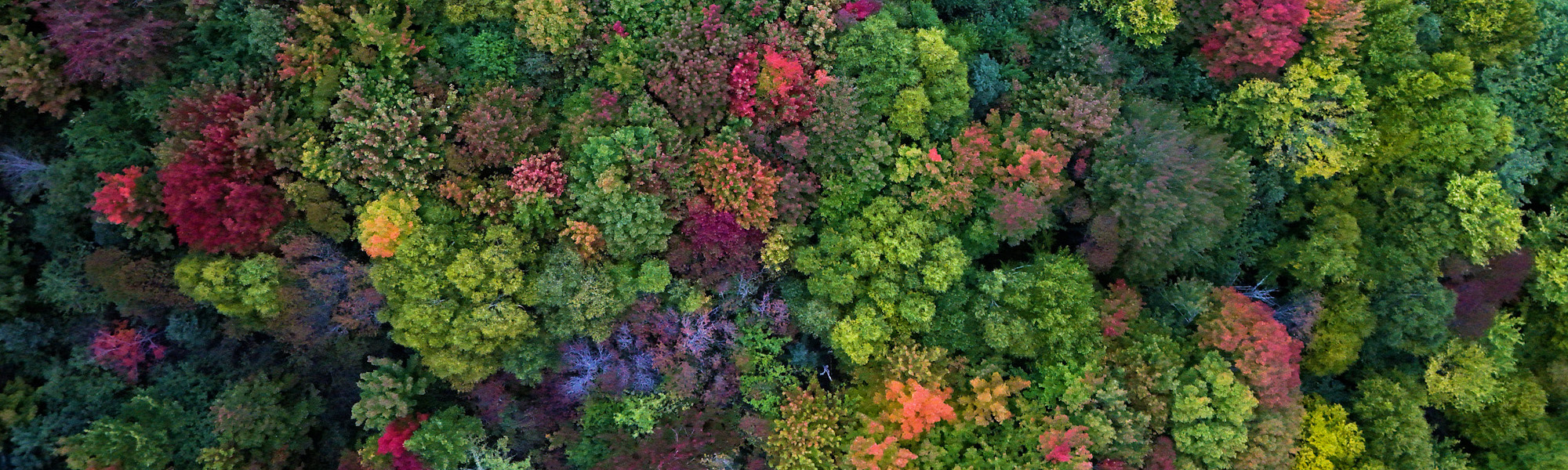 5 Reasons to Fall for Cape Breton Autumn Adventures