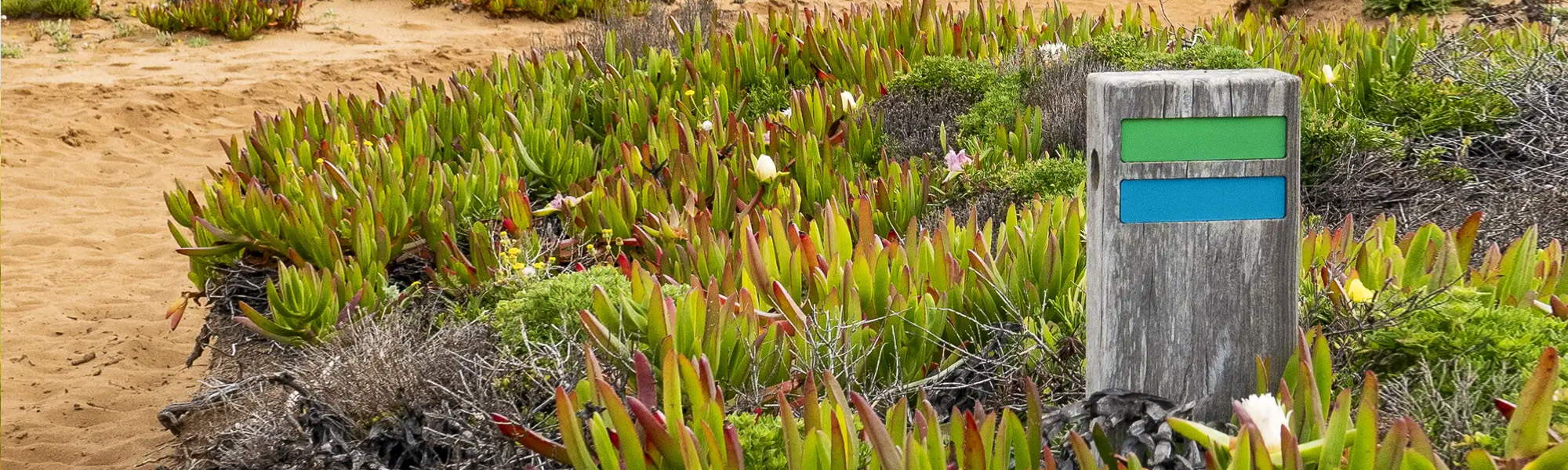 Step by Step: Why Inn-to-Inn Walking Tours Are the Next Big Travel Trend