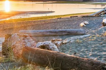 This image captures a sunset over a sandy beach populated with large driftwood logs, located on the coast of British Columbia, Canada