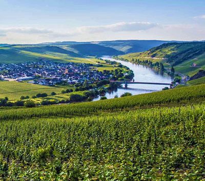This image shows a scenic view of the Mosel Valley in Germany, specifically depicting the famous river loop near the town of Trittenheim