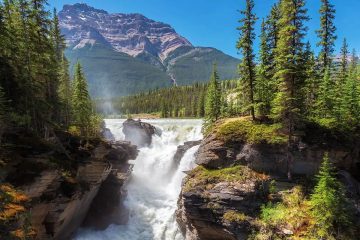 The image displays Athabasca Falls, a powerful waterfall located in Jasper National Park, Alberta, Canada