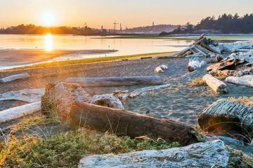 This image captures a sunset over a sandy beach populated with large driftwood logs, located on the coast of British Columbia, Canada