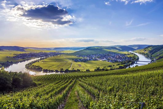 This image shows a scenic view of the Mosel Valley in Germany, specifically depicting the famous river loop near the town of Trittenheim