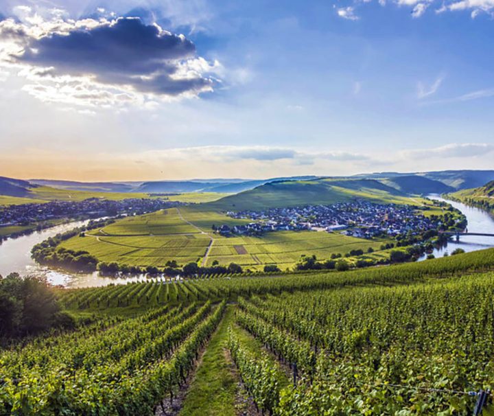 This image shows a scenic view of the Mosel Valley in Germany, specifically depicting the famous river loop near the town of Trittenheim